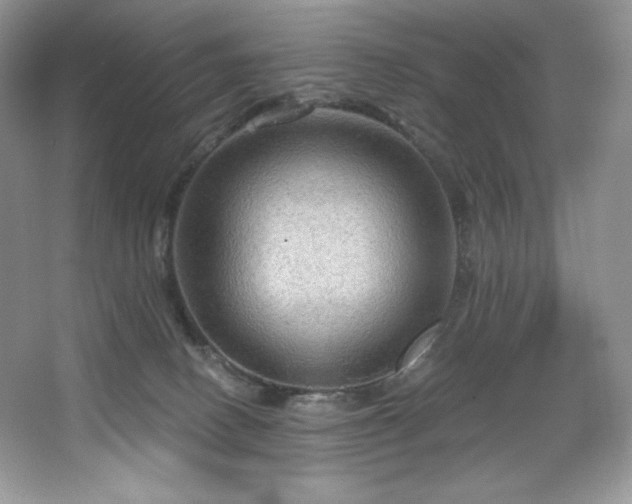 X0000067840082200604171204