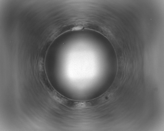 X0000067840083200604171204