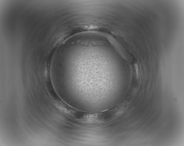 X0000067840084200604171204