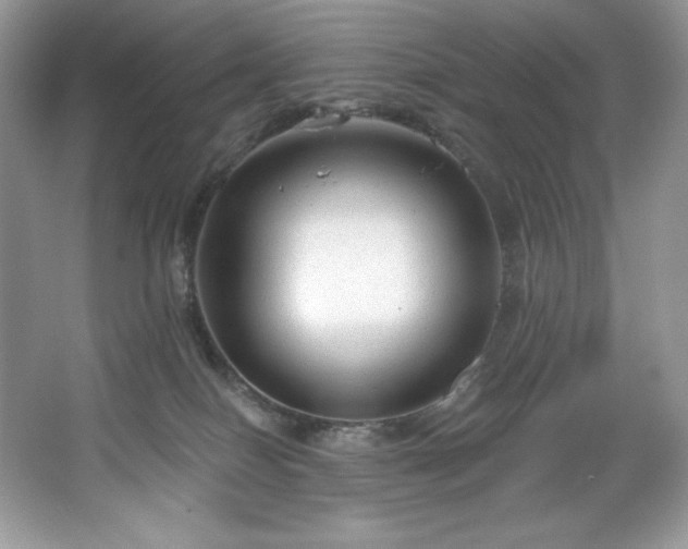 X0000067840086200604171204