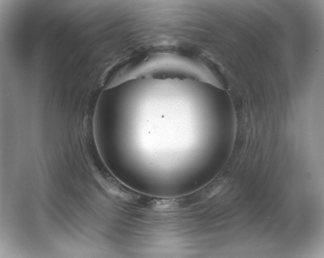 X0000067840088200604171204