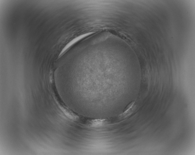 X0000067840090200604171204