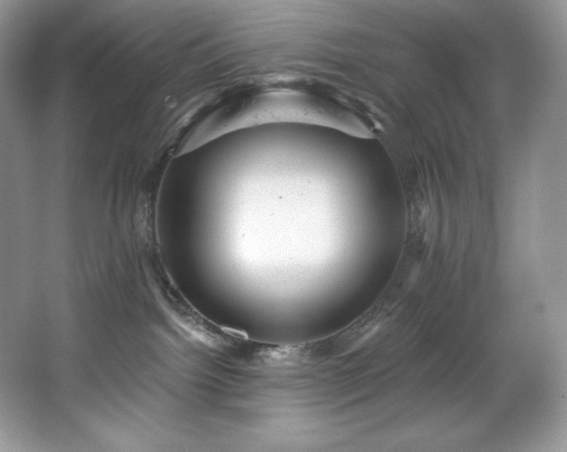 X0000067840092200604171204