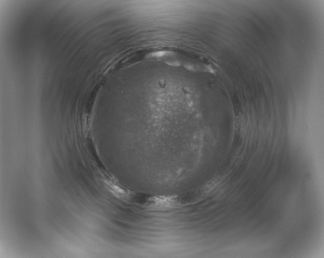 X0000067840093200604171204