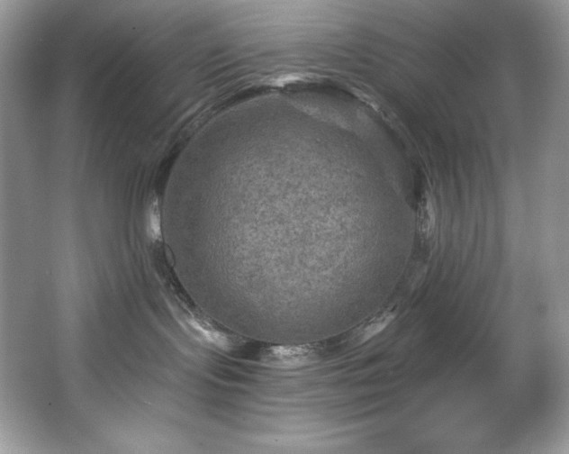 X0000067840095200604171204