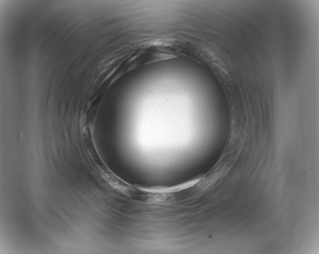 X0000067840096200604171204