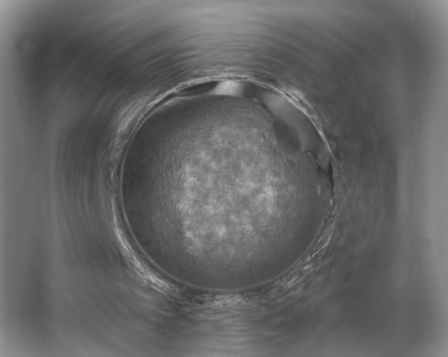 X0000067840097200604171203