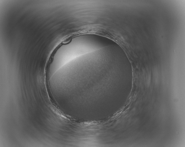 X0000067840100200604171203