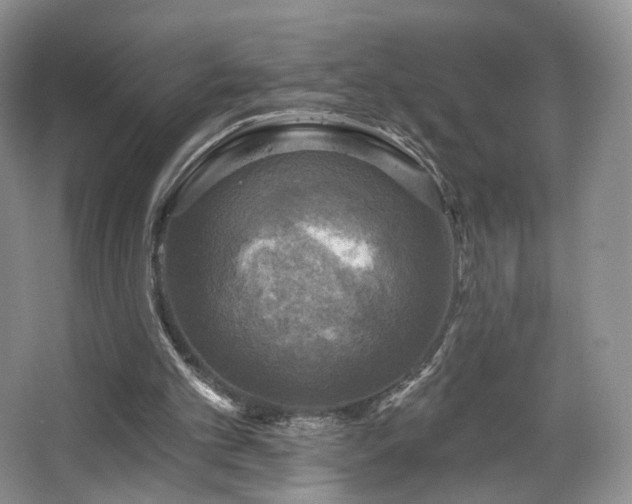 X0000067840101200604171203