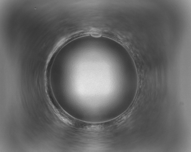 X0000067840102200604171203