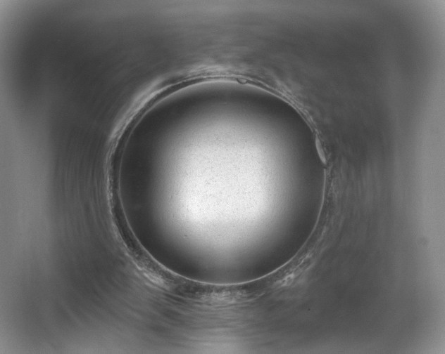 X0000067840103200604171203