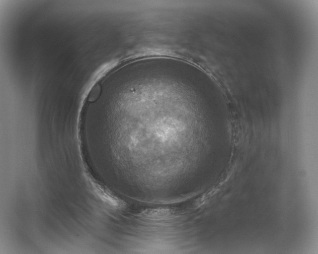 X0000067840104200604171203