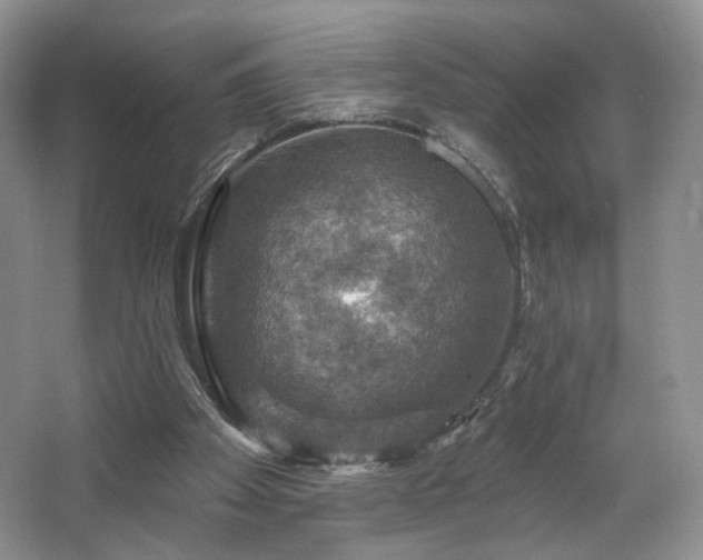 X0000067840105200604171203