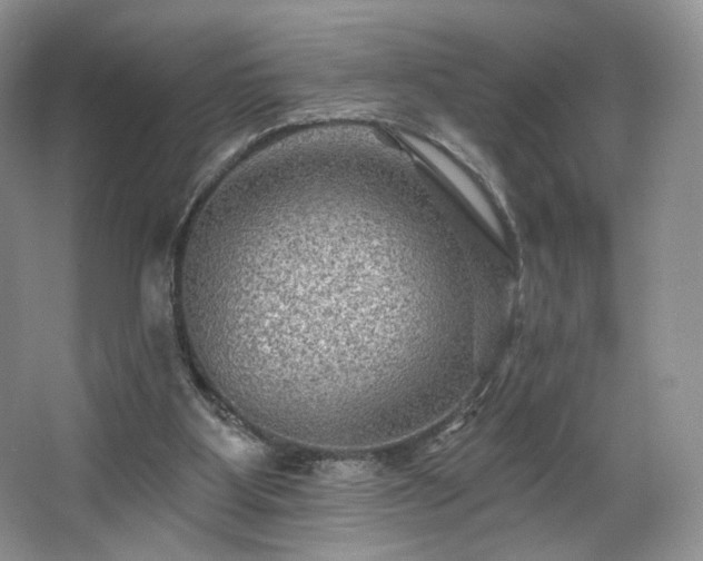 X0000067840107200604171203