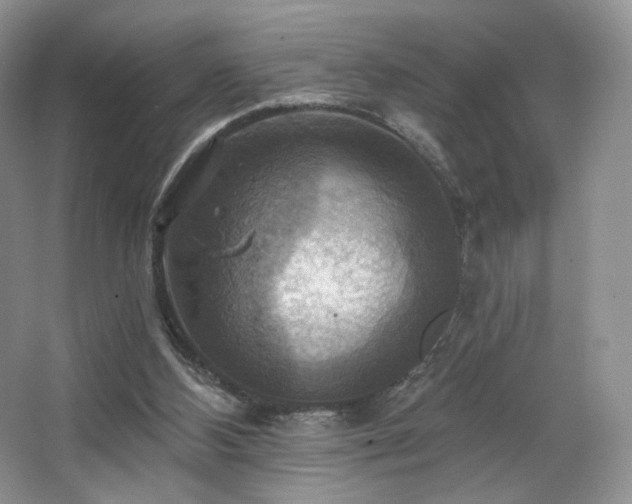 X0000067840108200604171203