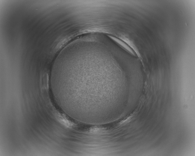 X0000067840109200604171203