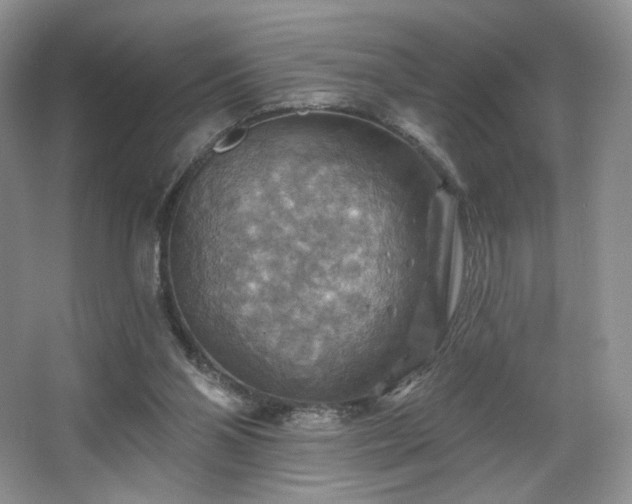 X0000067840110200604171203