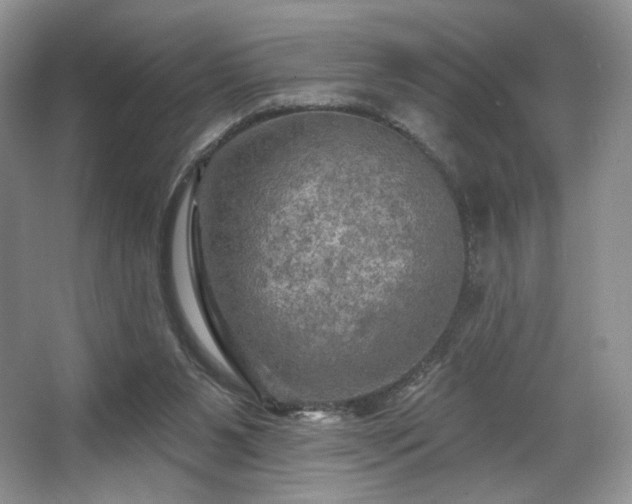 X0000067840111200604171203