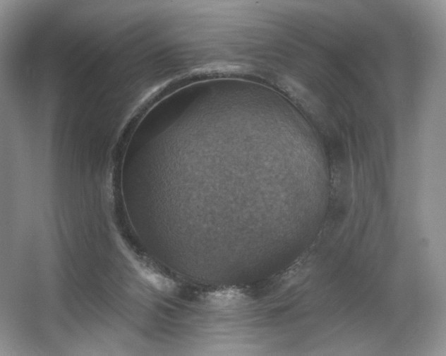 X0000067840112200604171203