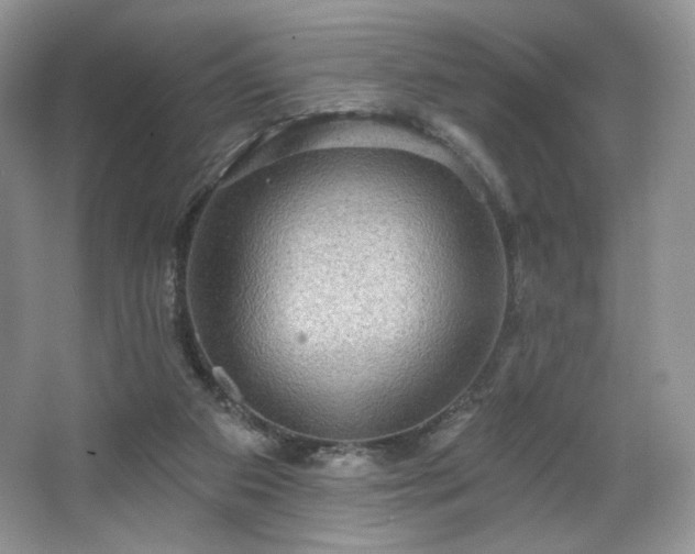 X0000067840113200604171203