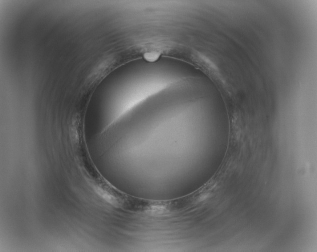 X0000067840114200604171203