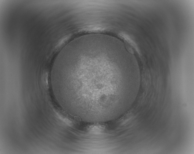 X0000067840115200604171203