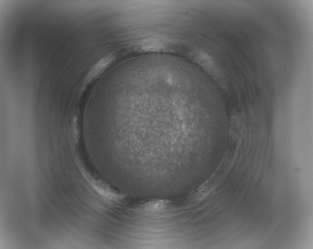 X0000067840116200604171203