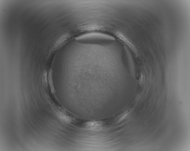 X0000067840117200604171203