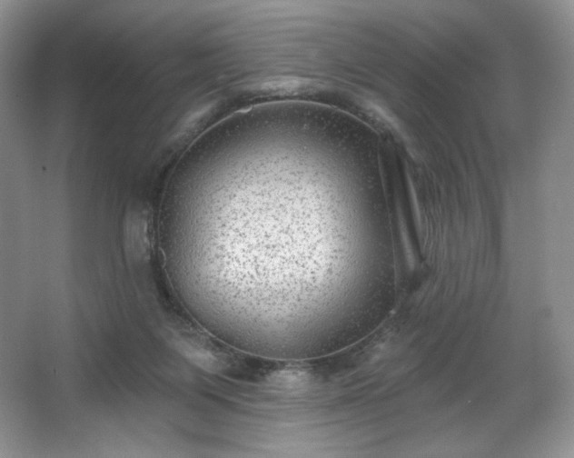 X0000067840119200604171203