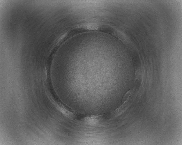 X0000067840120200604171203