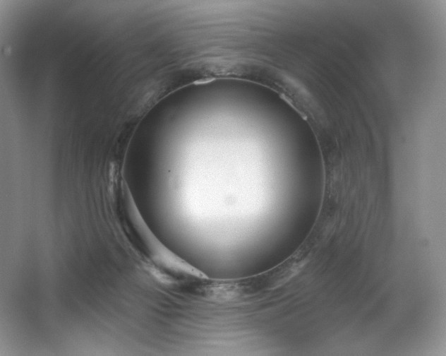 X0000067840121200604171203