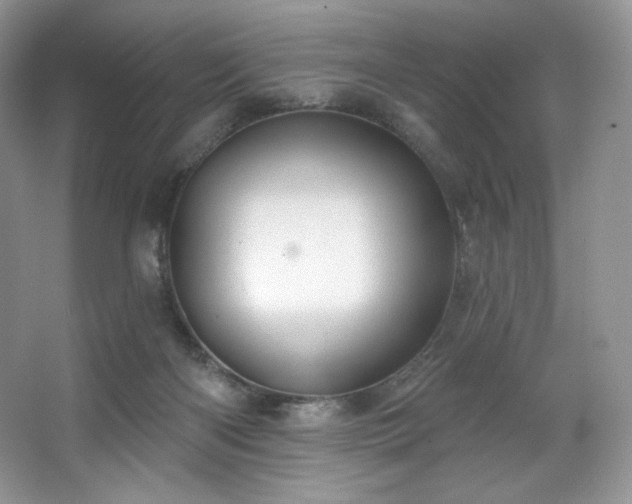 X0000067840122200604171203