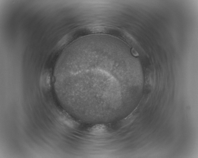 X0000067840124200604171203