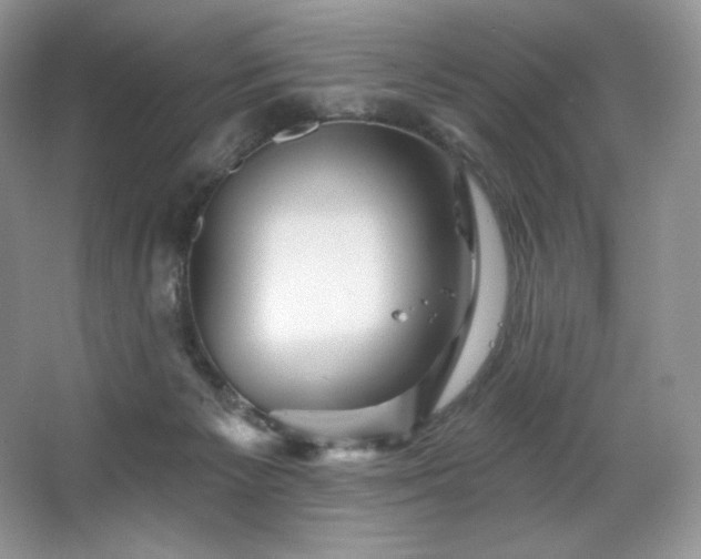 X0000067840125200604171203