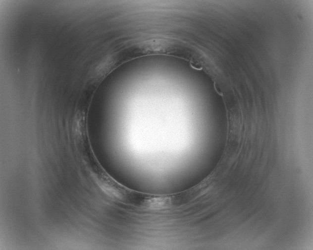 X0000067840126200604171203