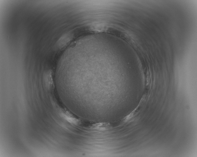 X0000067840128200604171203