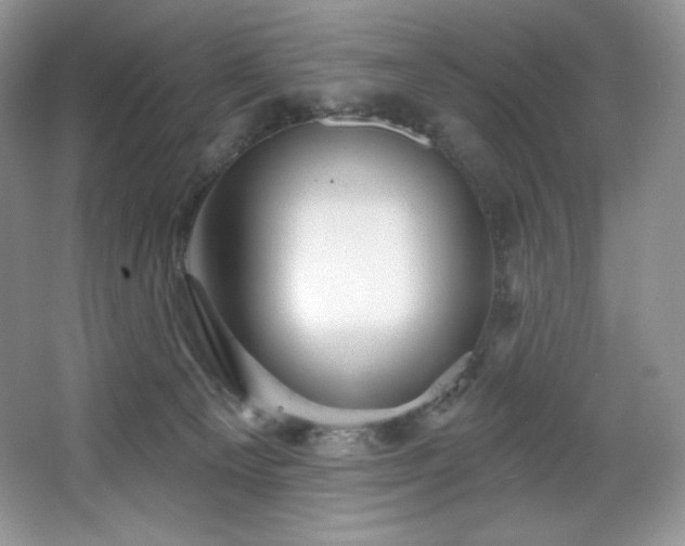 X0000067840129200604171203