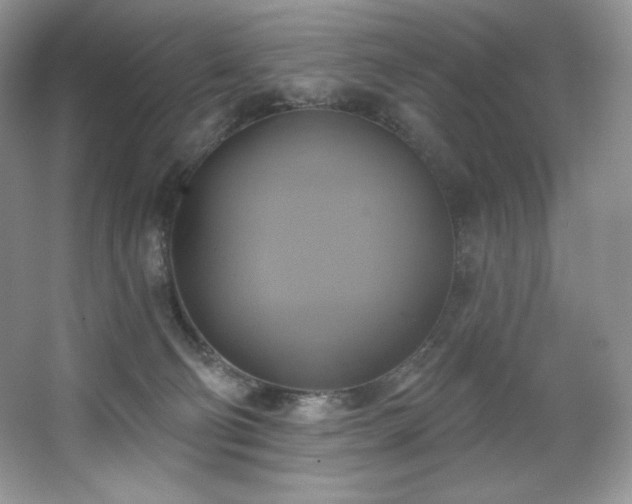 X0000067840130200604171202