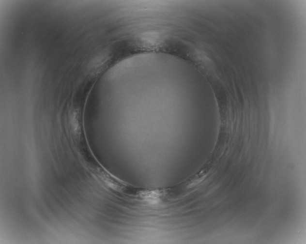 X0000067840131200604171202