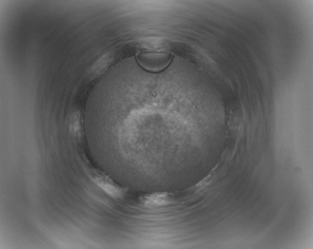 X0000067840132200604171202