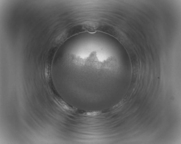 X0000067840134200604171202