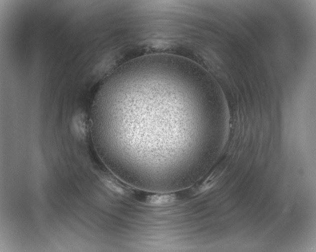 X0000067840135200604171202