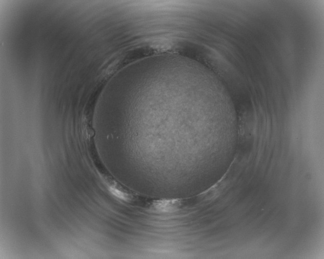 X0000067840136200604171202