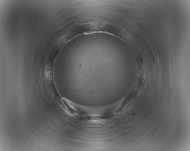 X0000067840137200604171202