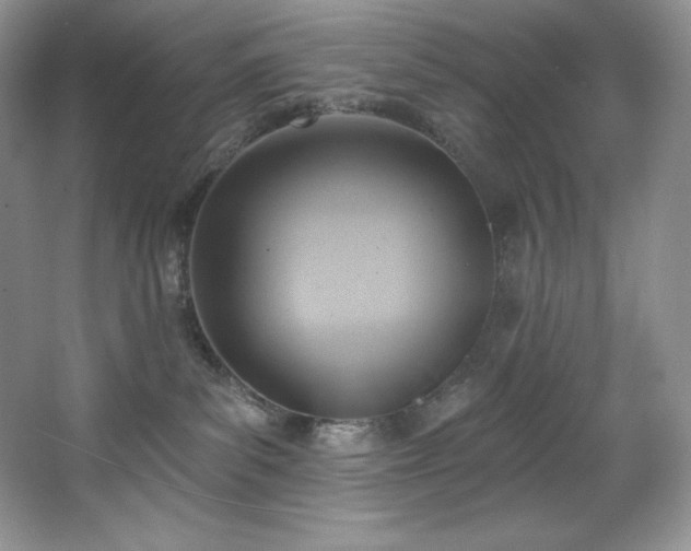 X0000067840139200604171202