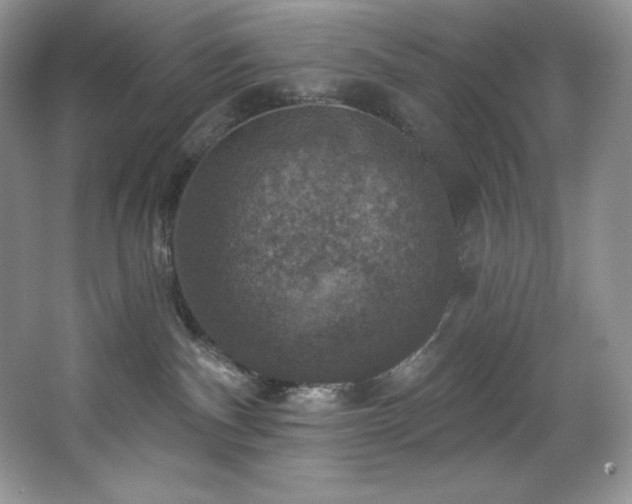 X0000067840140200604171202