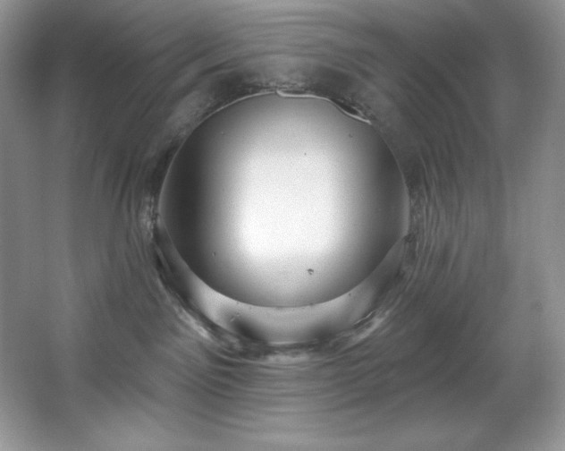 X0000067840141200604171202