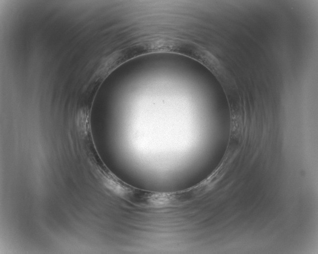 X0000067840142200604171202