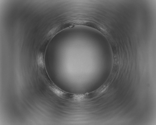 X0000067840143200604171202