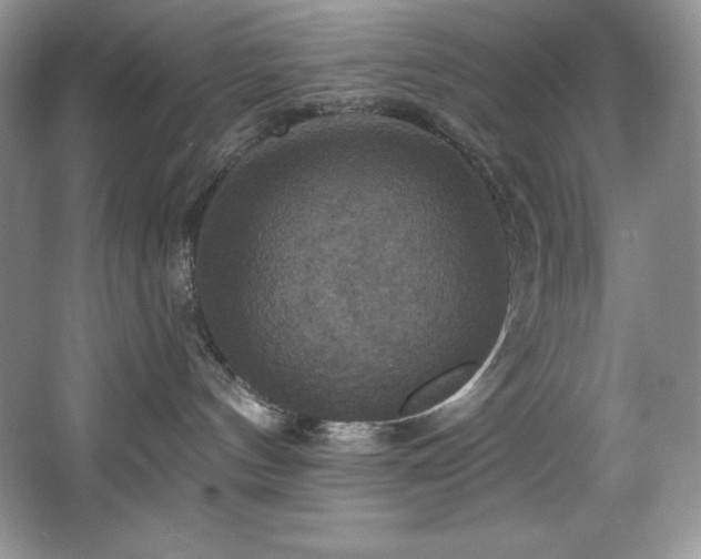 X0000067840144200604171202